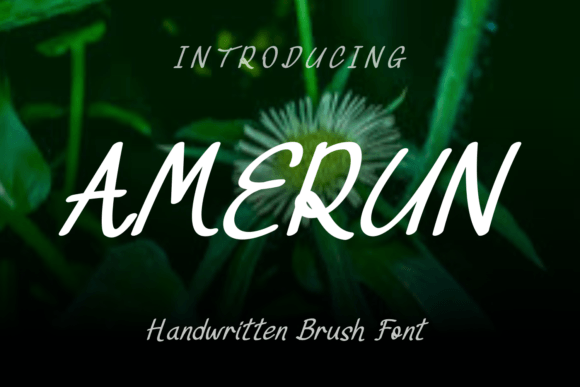Amerun Font: Delicate Handwritten Style for Makers