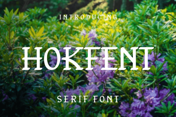 Hokfent Font Review: A Playful Serif for Modern Branding