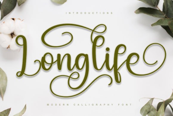 Longlife Font: Elegant Script for Digital Branding