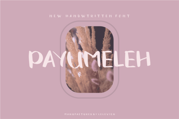 Payumeleh Font: A Script Handwritten Review for Editorial Design